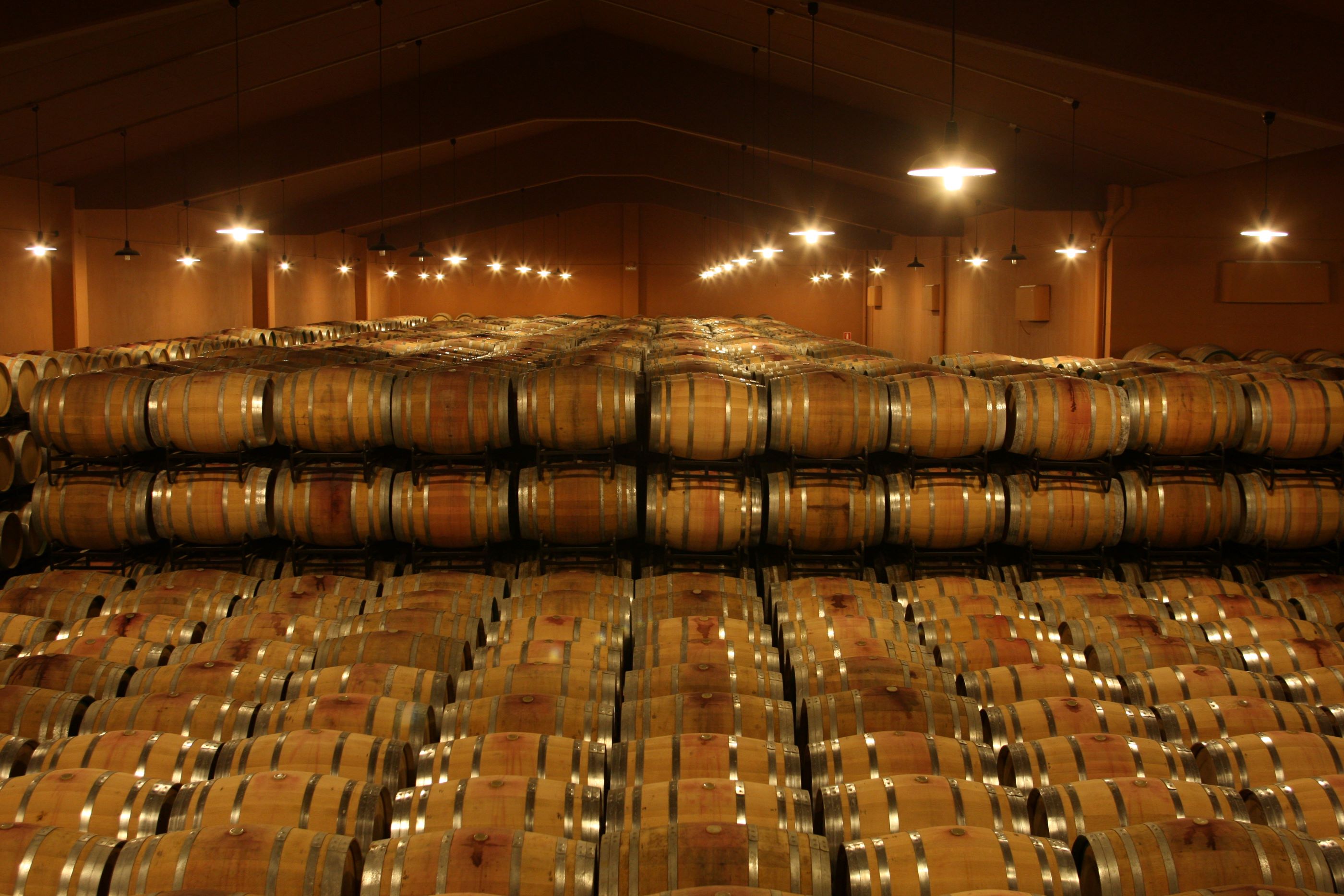 Sala de Barricas en BFP