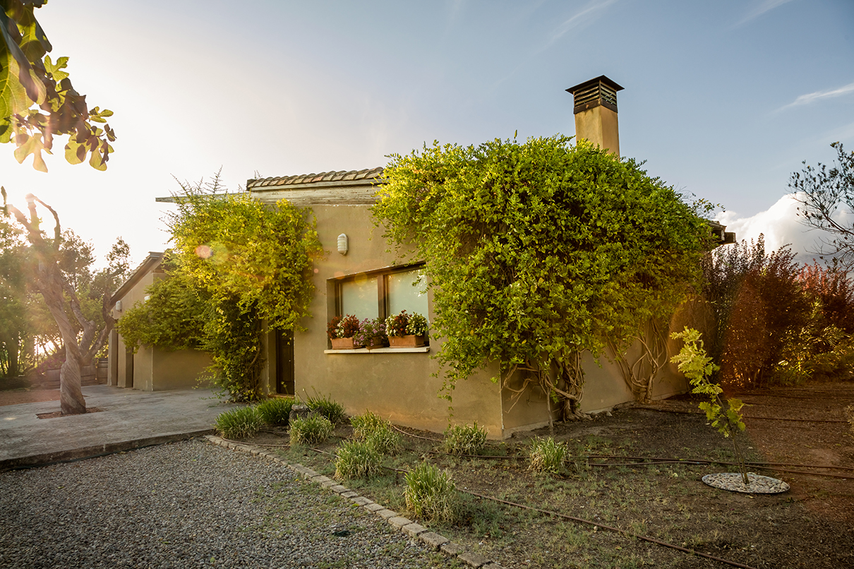 Carravalseca, comida en un viñedo ecológico