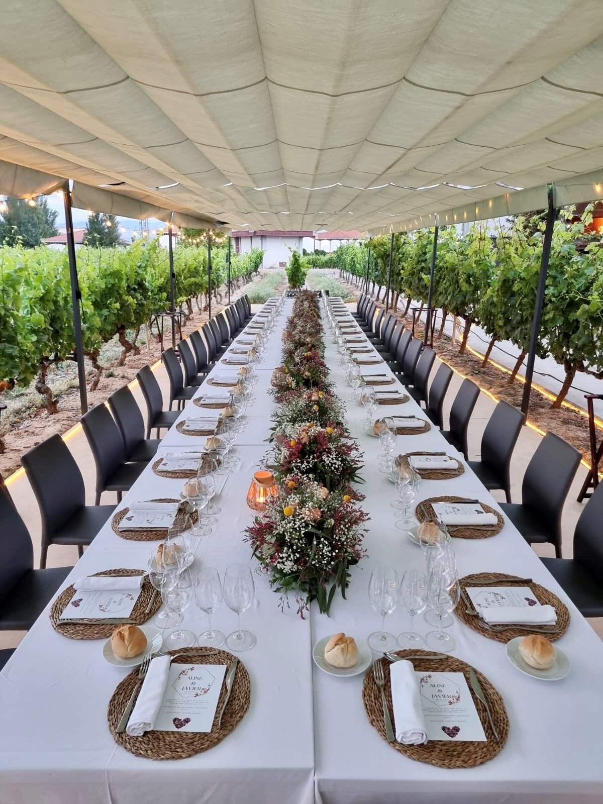 Terraza entreviñedos 