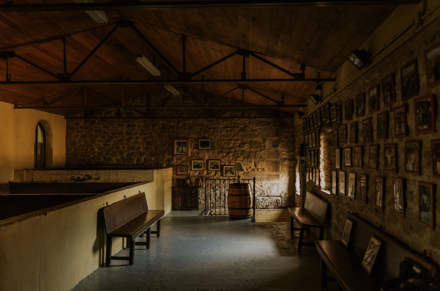 Visita nuestra bodega