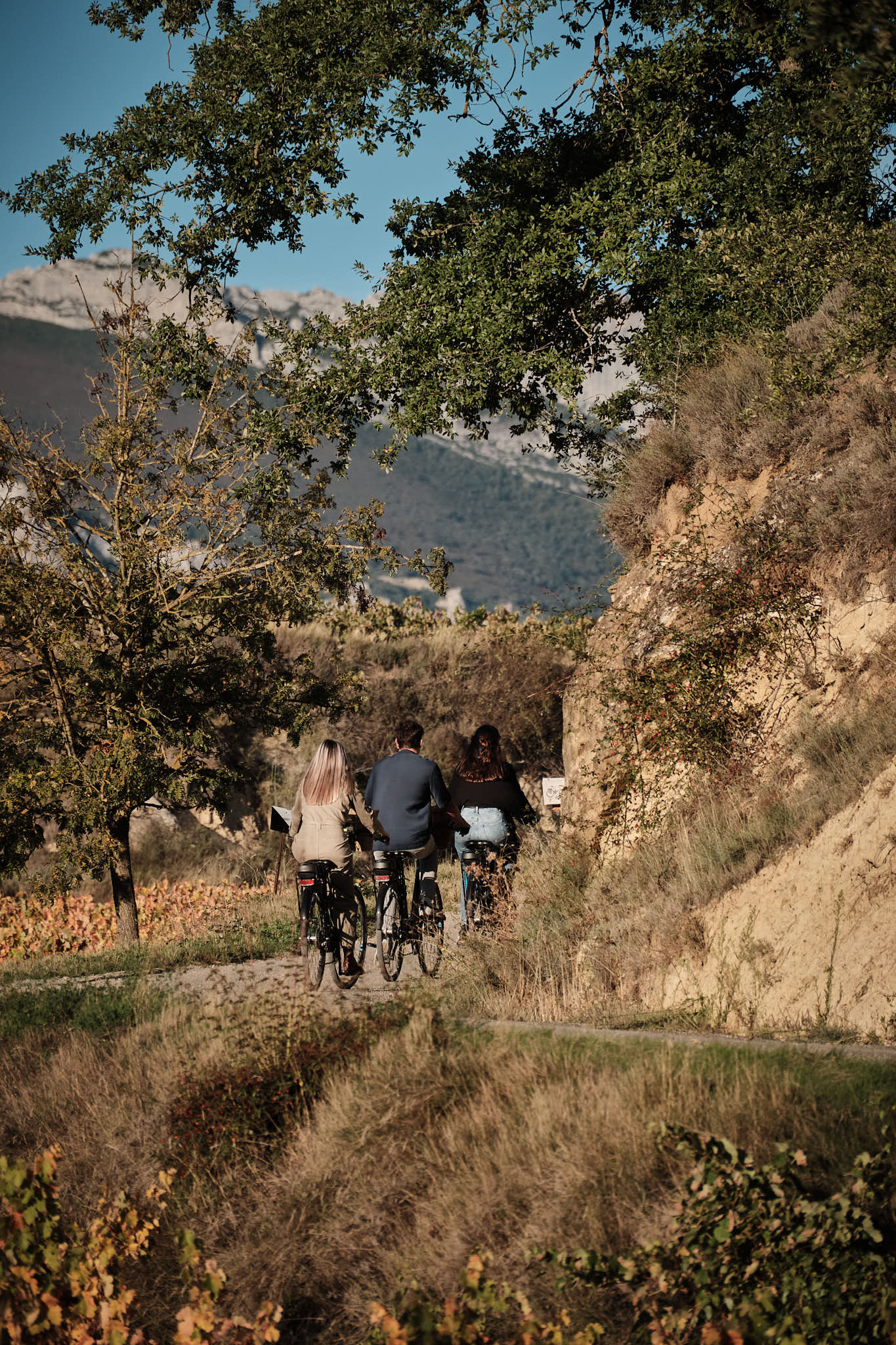 Secretos de Villabuena sobre ruedas con picnic entre viñedos
