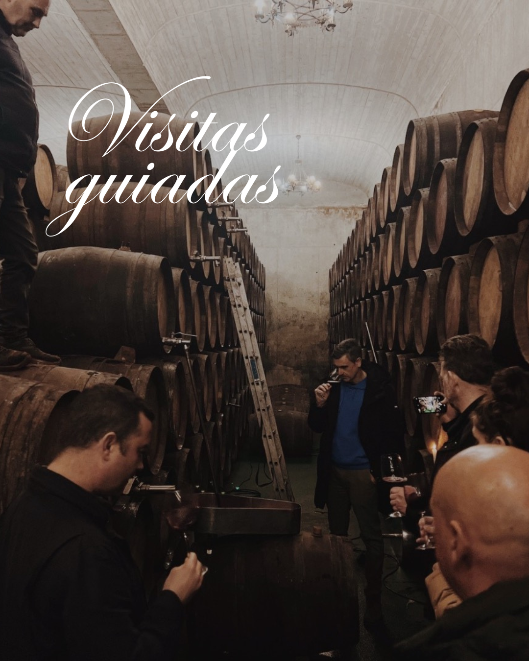 Visitas Guiadas a Bodega