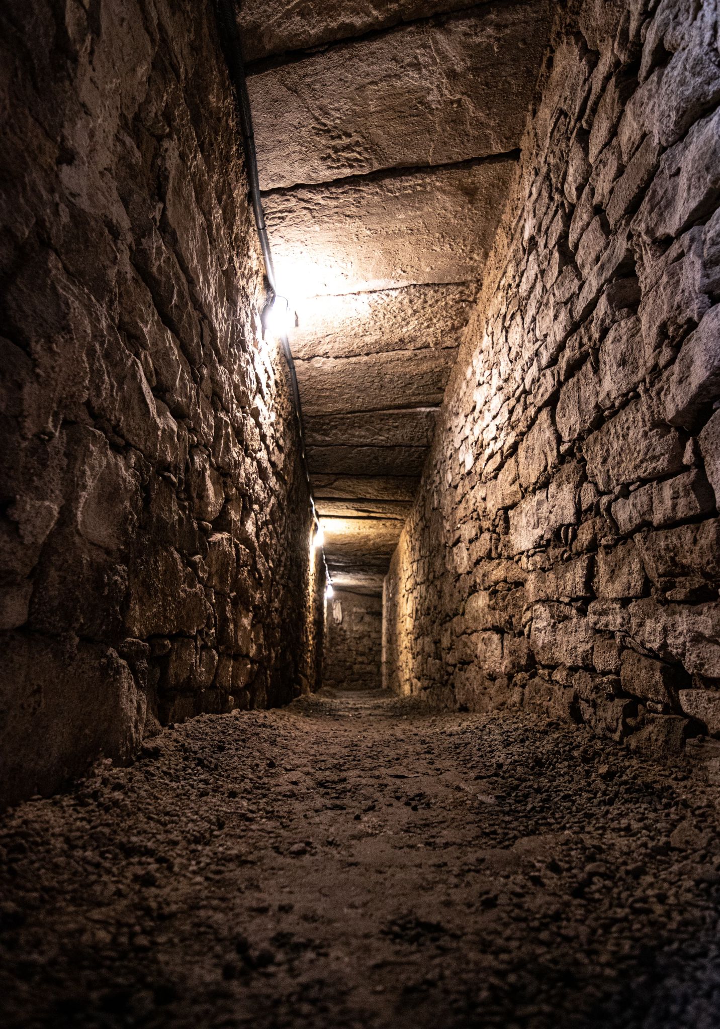 Barbecue and guided tour of a historic 17th-century ice house and winery.