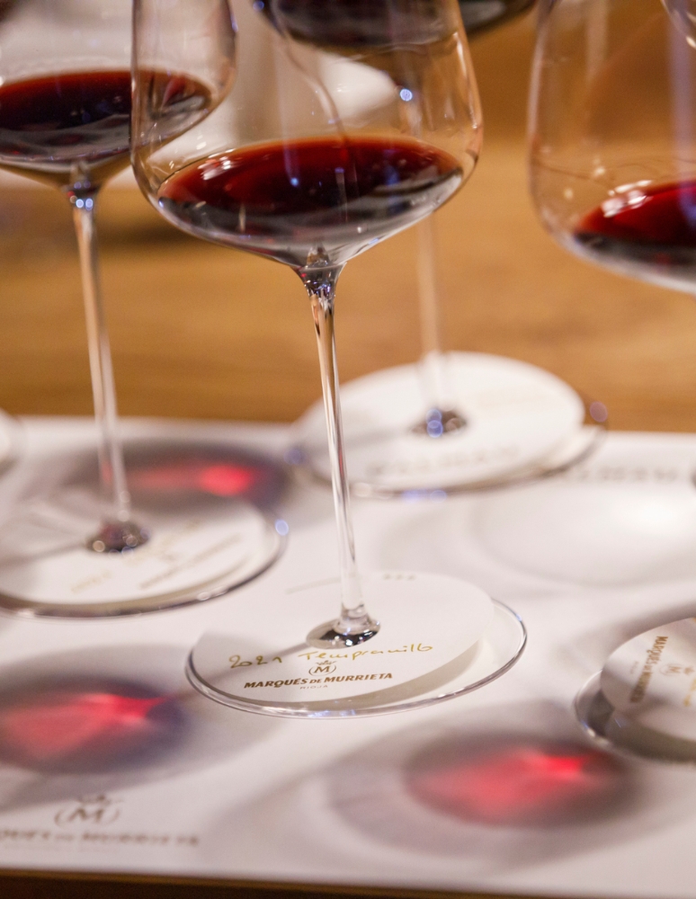 Visita y cata de 6 vinos